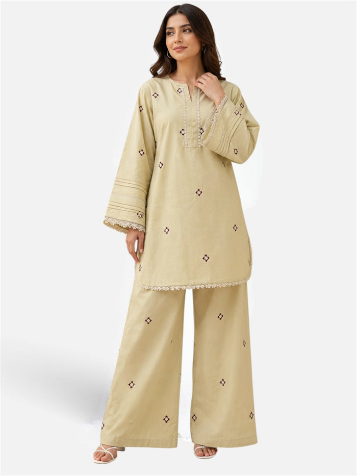 Embroidery farshi co ord set